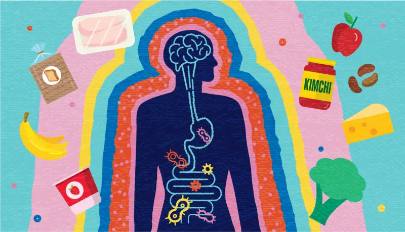 A guide to gut health: What should we eat and what should we avoid?